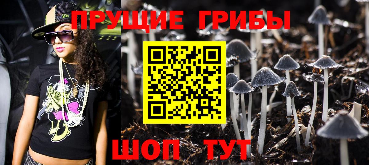 Железногорск  Галлюциногенные грибы ЛСД  Вход с VPN 